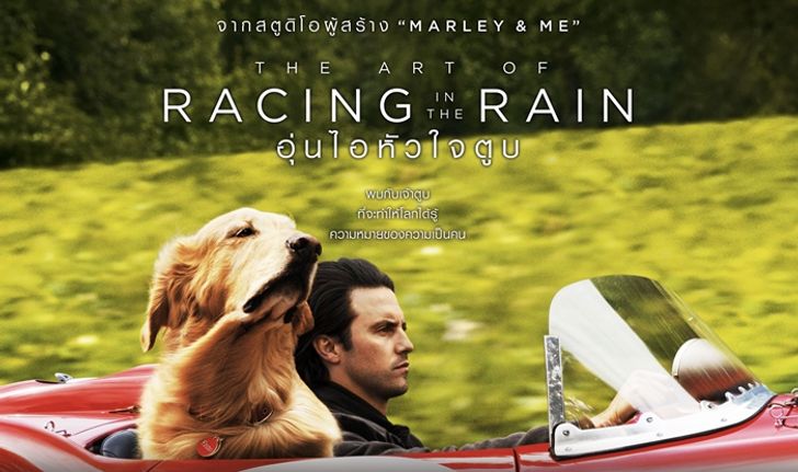 The Art of Racing in the rain สุนัขปลงตกกับชีวิตนักแข่งรถ