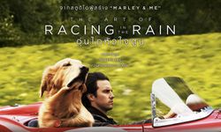 The Art of Racing in the rain สุนัขปลงตกกับชีวิตนักแข่งรถ