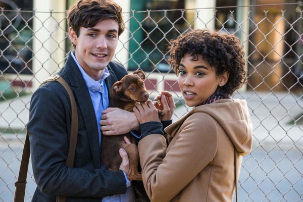 A Dog's Way Home (2019)