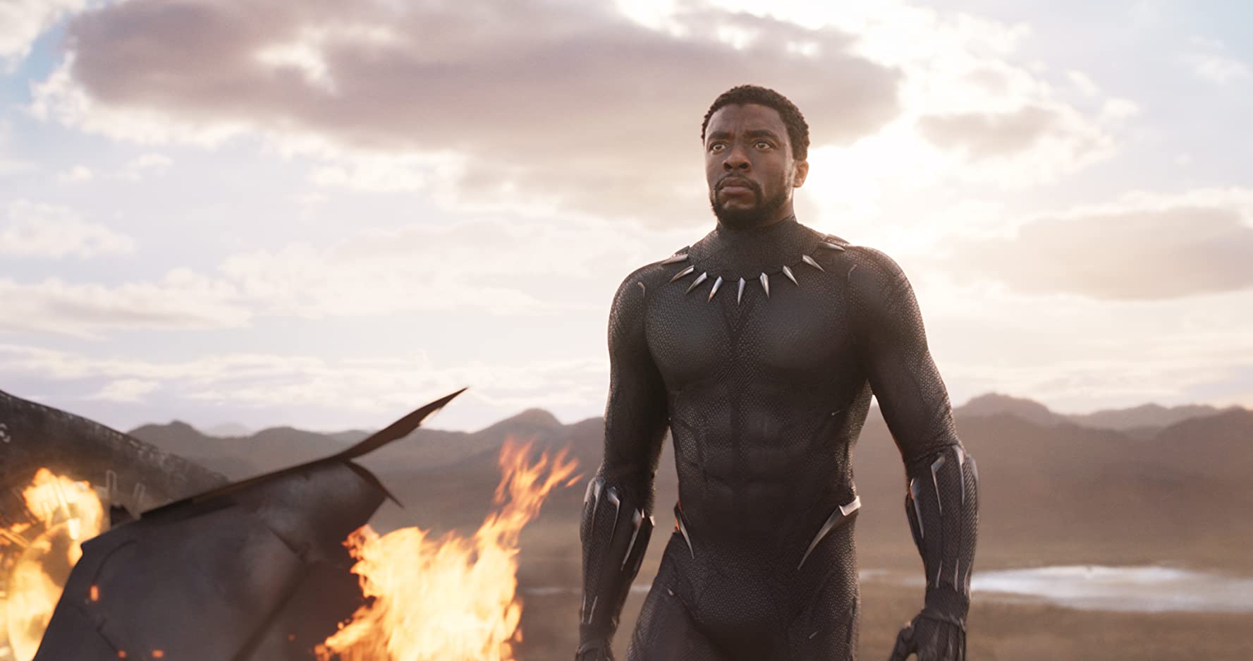 Chadwick Boseman in Black Panther (2018)