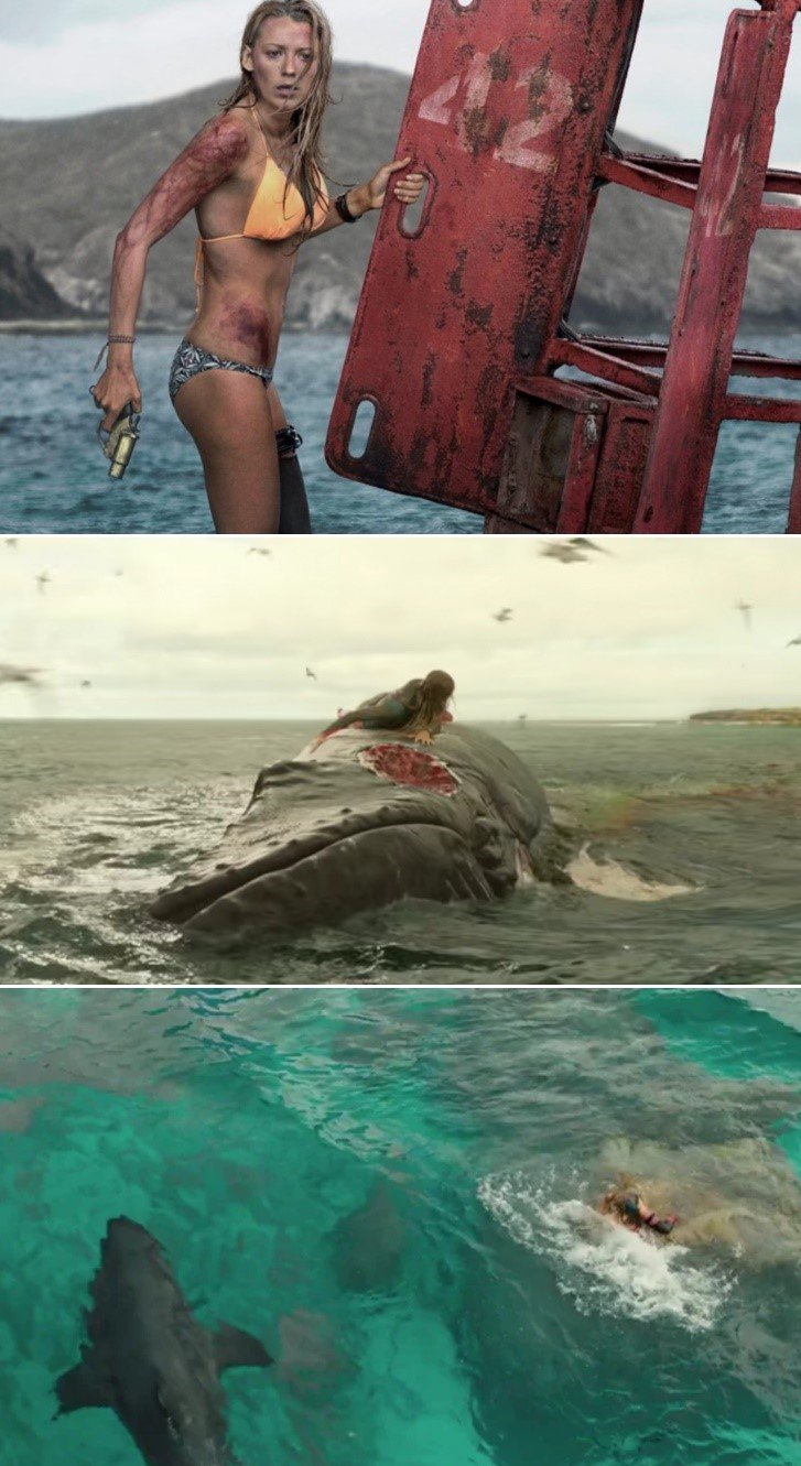 The Shallows