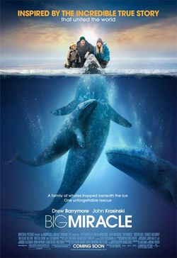 Big Miracle