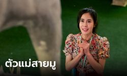 "พีค" ชวนสาวสายมูตามหารักแท้ ซีรีส์ขายขำ "วาเลนไทน์ อะเกนฯ"