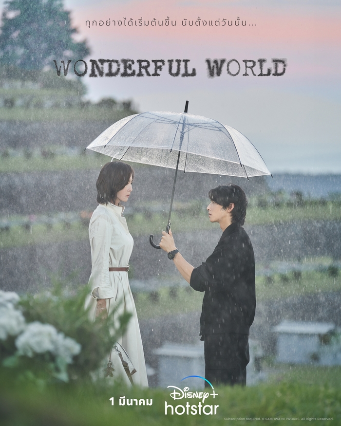 เรื่องย่อ Wonderful World