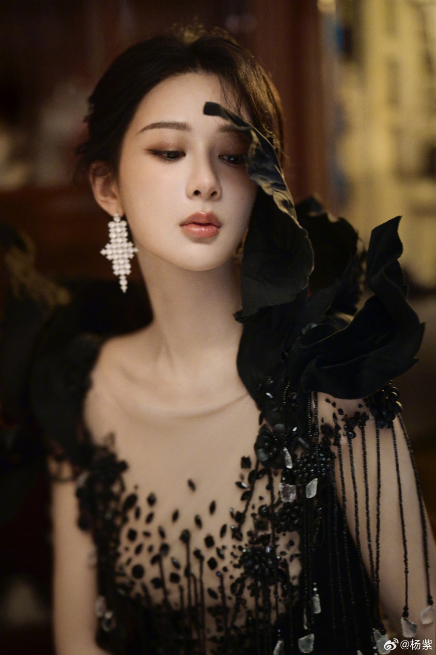 ดาราหญิงจีน-หยางจื่อ (Yang Zi)