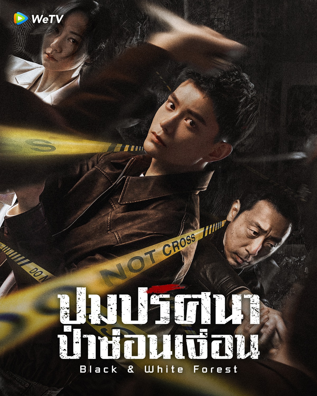 ซีรีส์จีน wetv-ปมปริศนาป่าซ่อนเงื่อน Black & White Forest