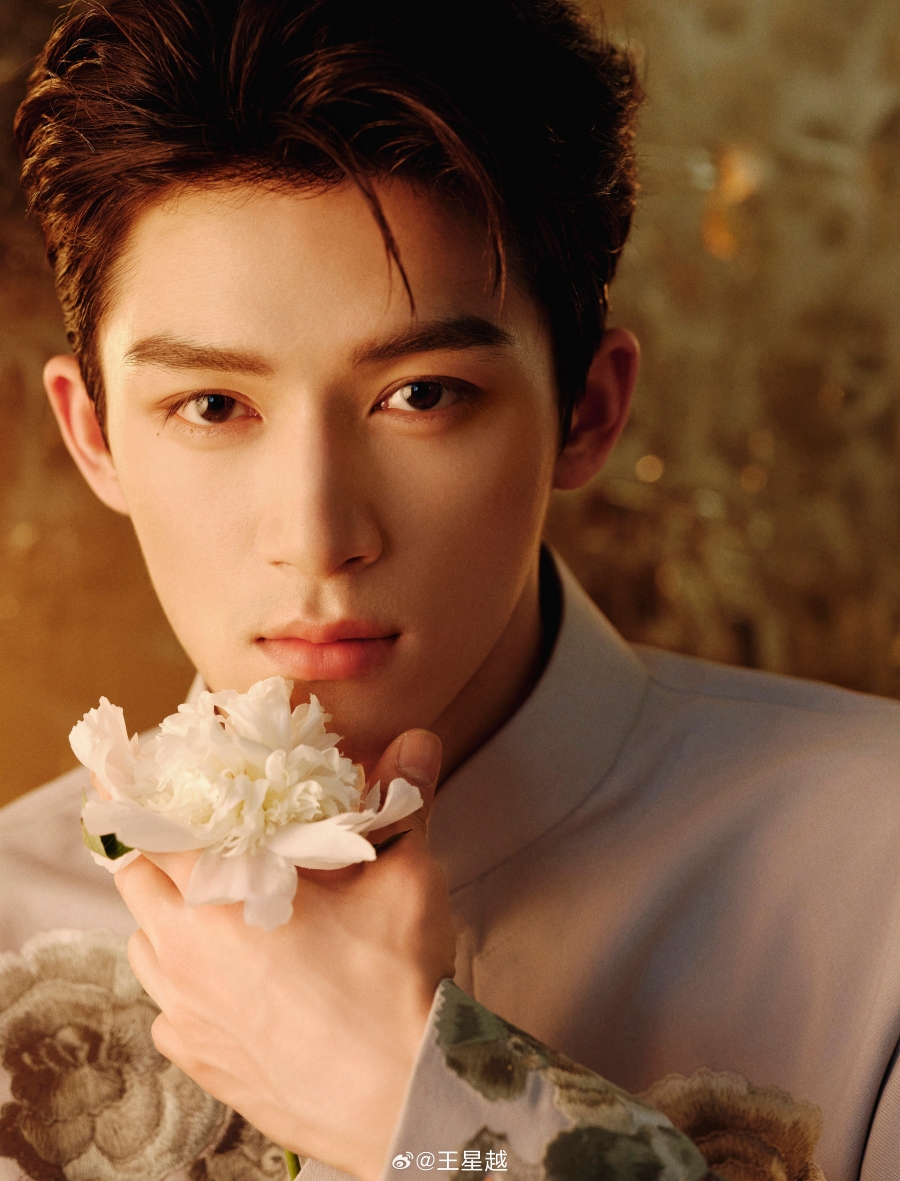 ชื่อดาราจีน-หวังซิงเยว่