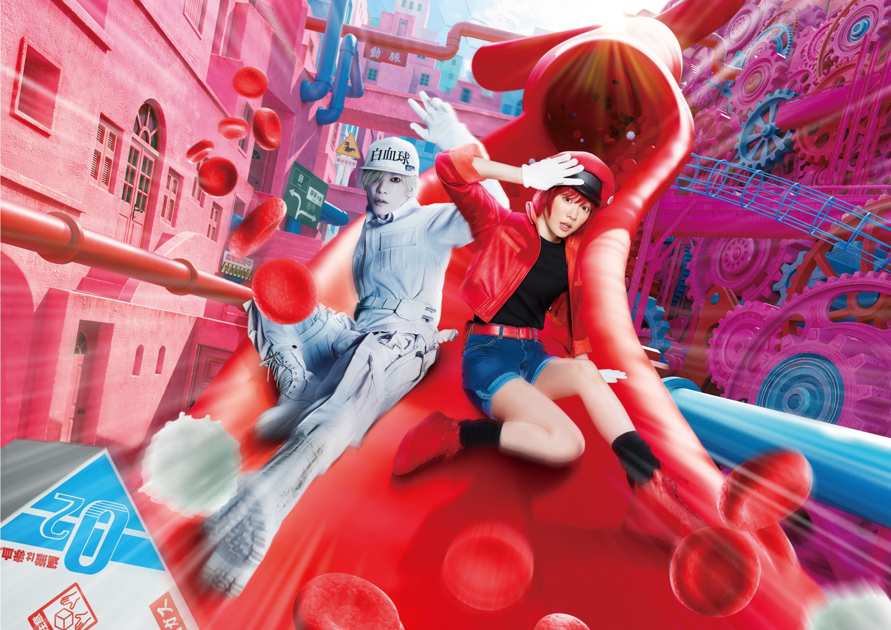 Netflix เข้าใหม่-Cells At Work