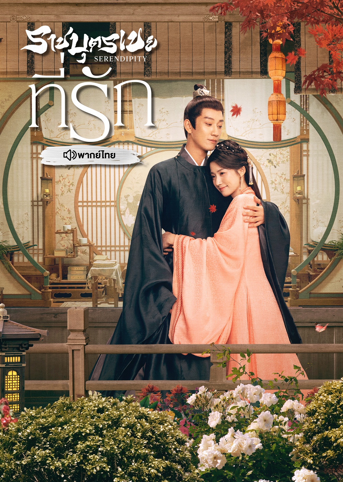  ราชบุตรเขยที่รัก Serendipity พากย์ไทย