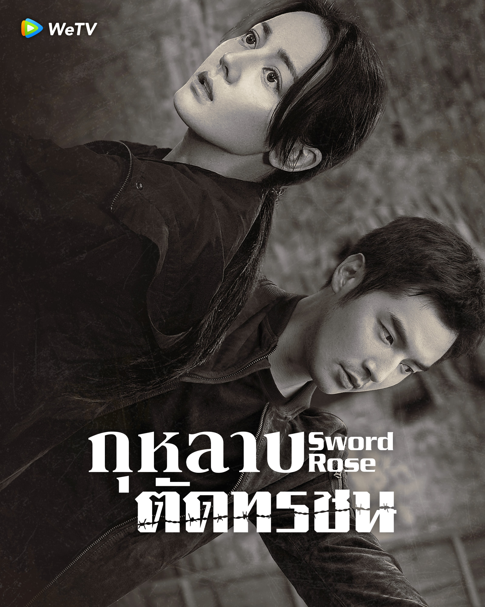 กุหลาบตัดทรชน 