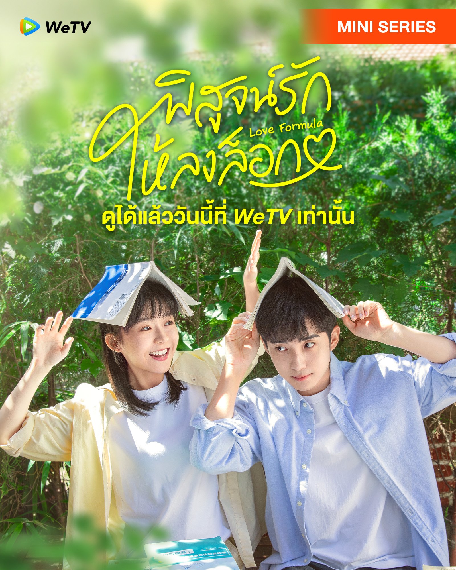 เรื่องย่อ พิสูจน์รักให้ลงล็อก 