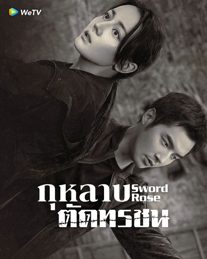 ซีรี่ย์จีนมาใหม่