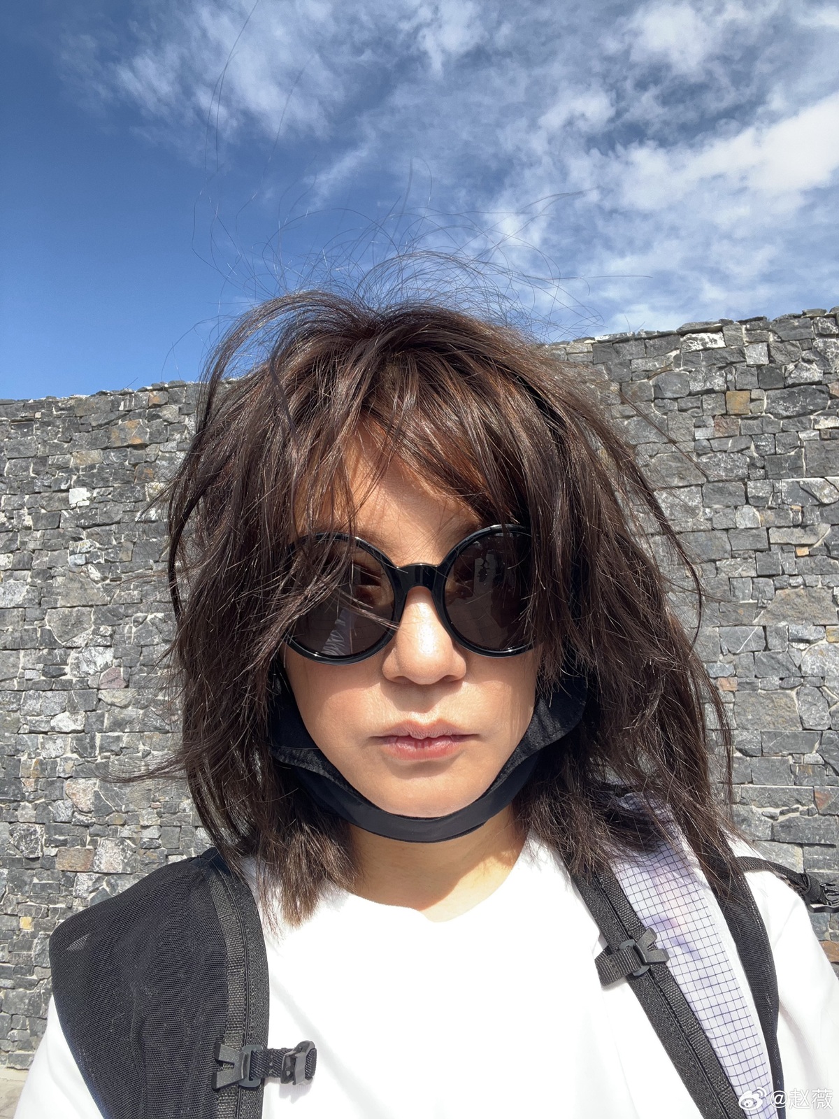 จ้าวเหว่ย 