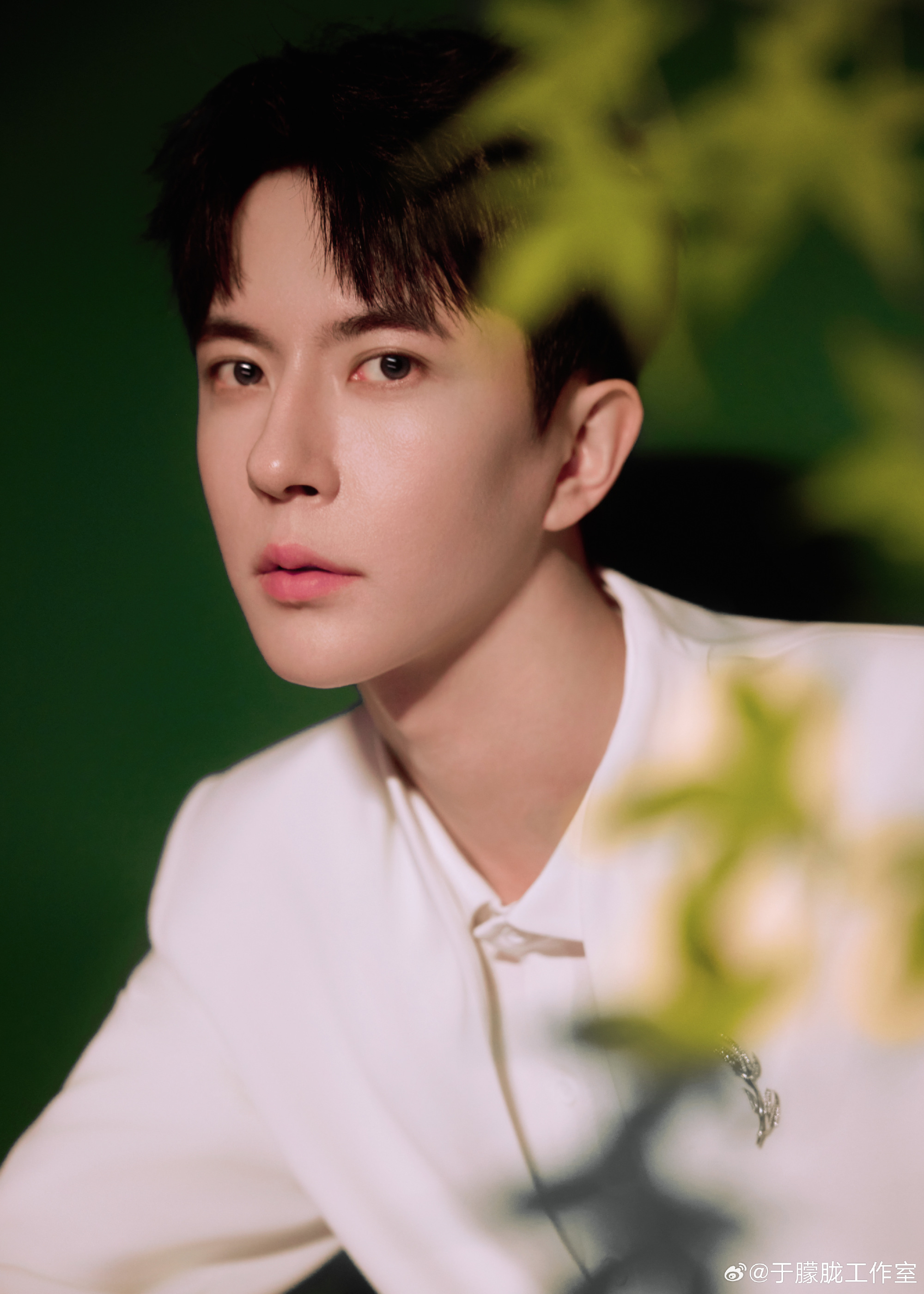 อวี๋เมิ่งหลง เสียชีวิต