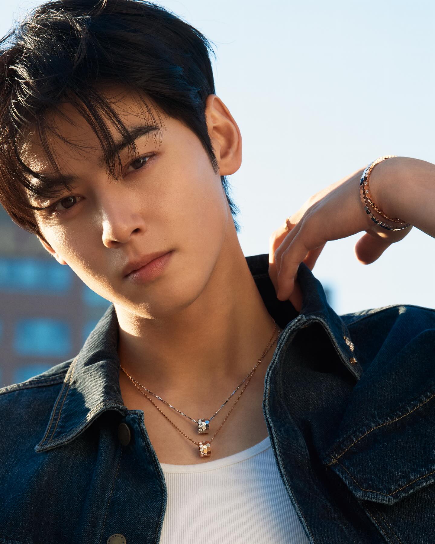 ชาอึนอู ชาอึนอู