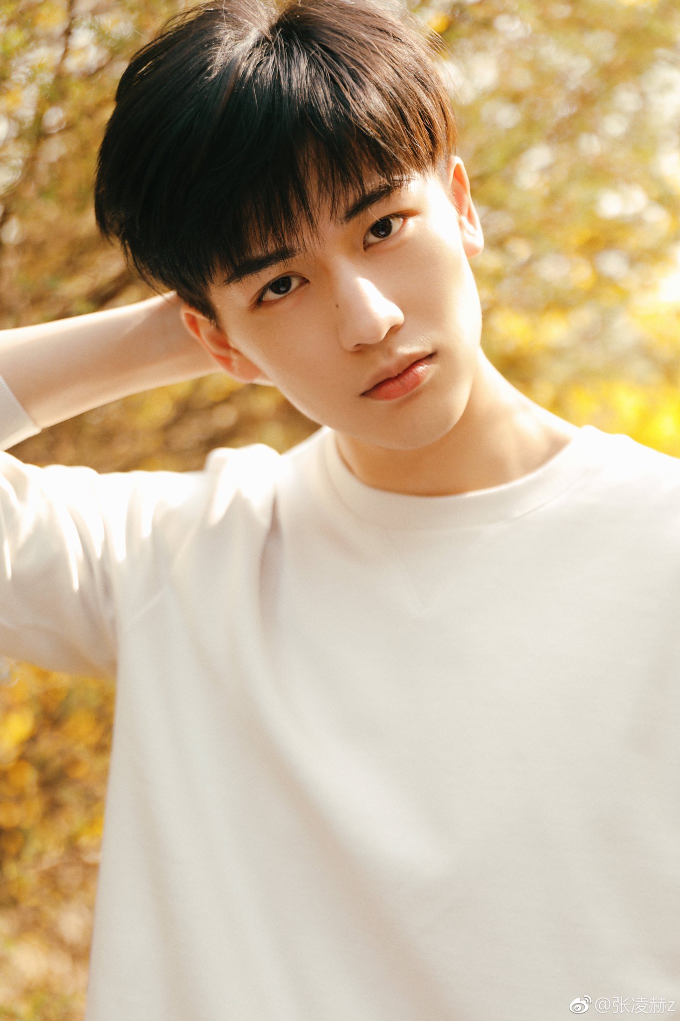 จางหลิงเฮ่อ จางหลิงเฮ่อ