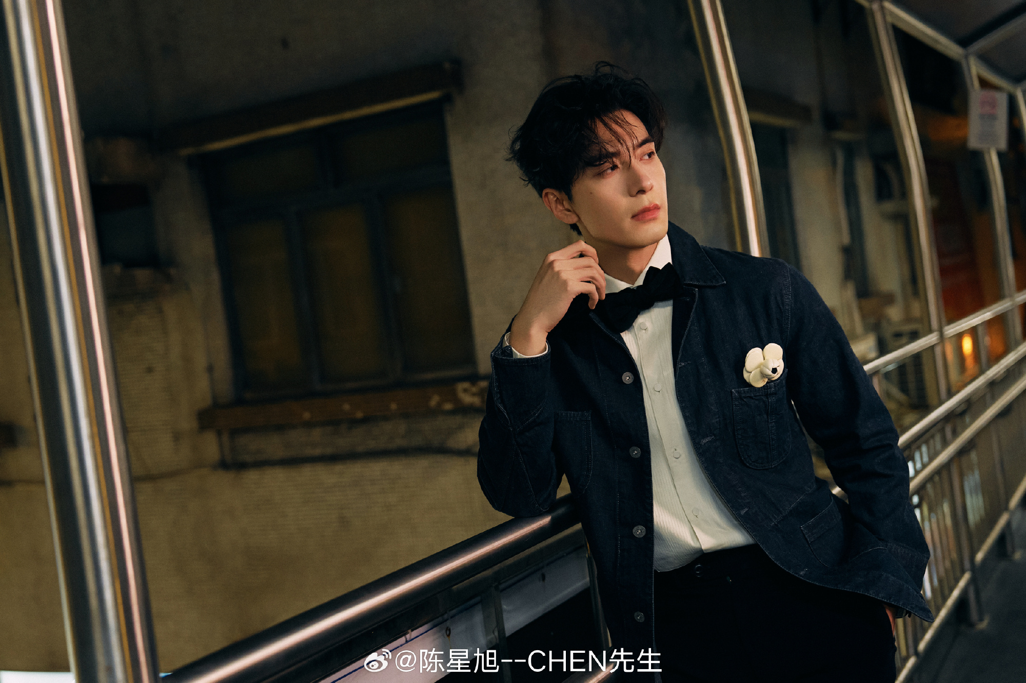 เฉินซิงซวี่ผลงาน