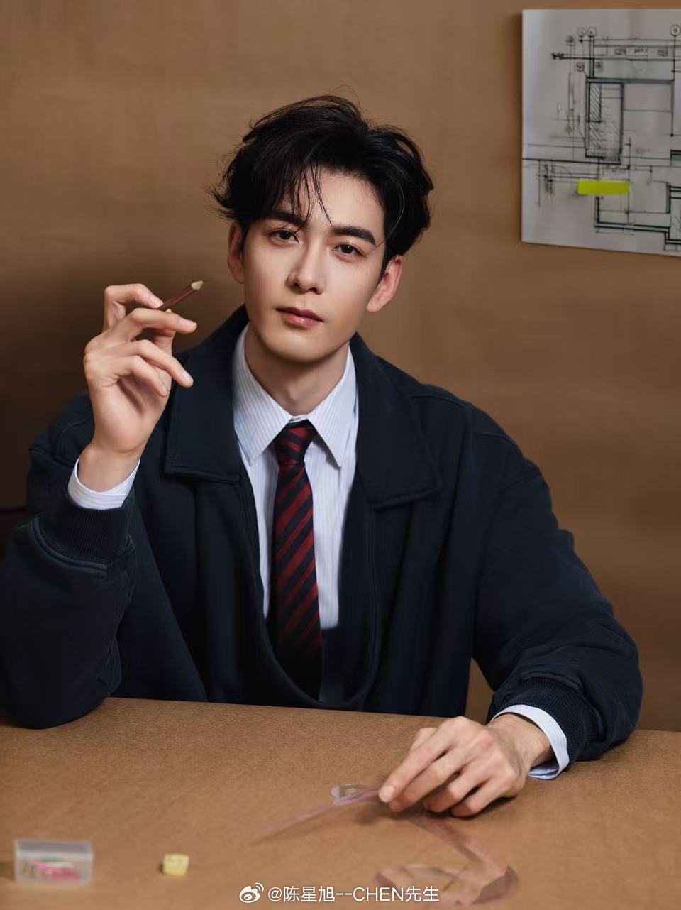 เฉินซิงซวี่ ประวัติ