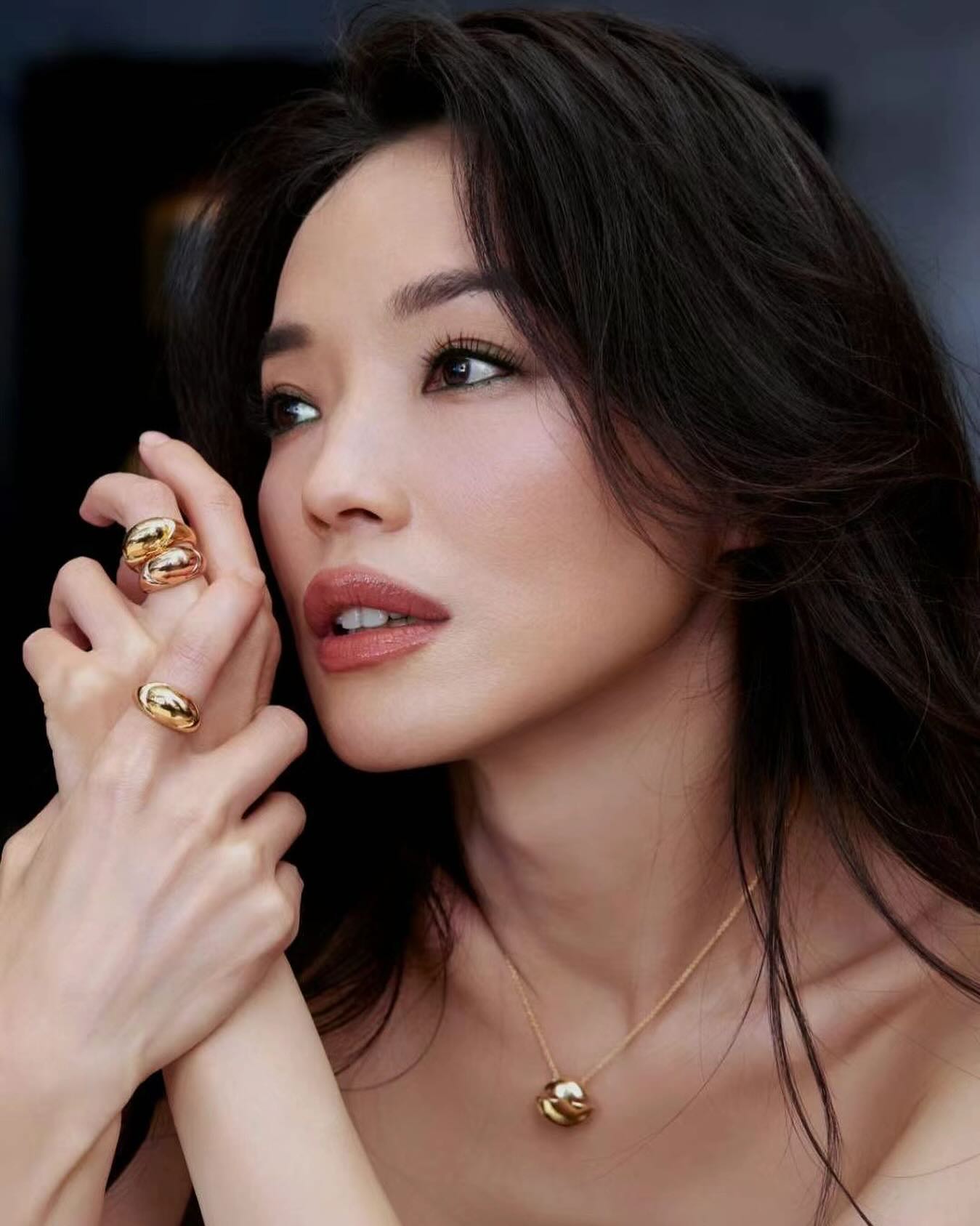 ซูฉี (Shu Qi) 