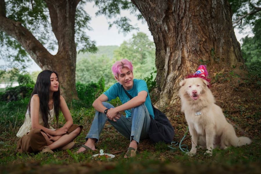 โกฮังหัวใจโกโฮม