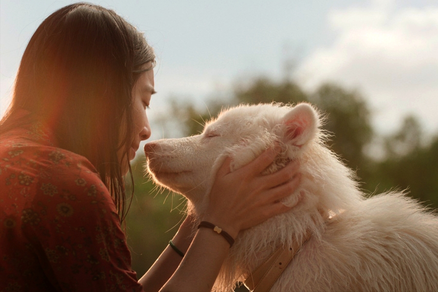 โกฮัง..หัวใจโกโฮม