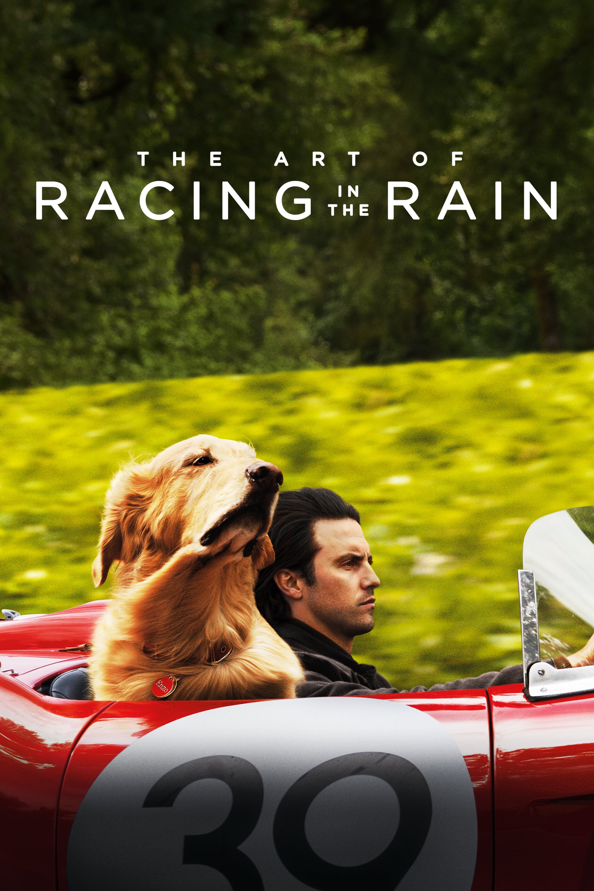 The Art of Racing in the Rain 
