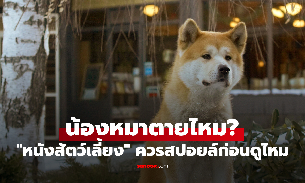 น้องหมาตายไหม? "หนังสัตว์เลี้ยง" ที่มีน้องหมาเป็นตัวเอก ควรสปอยล์ตอนจบก่อนดูไหม
