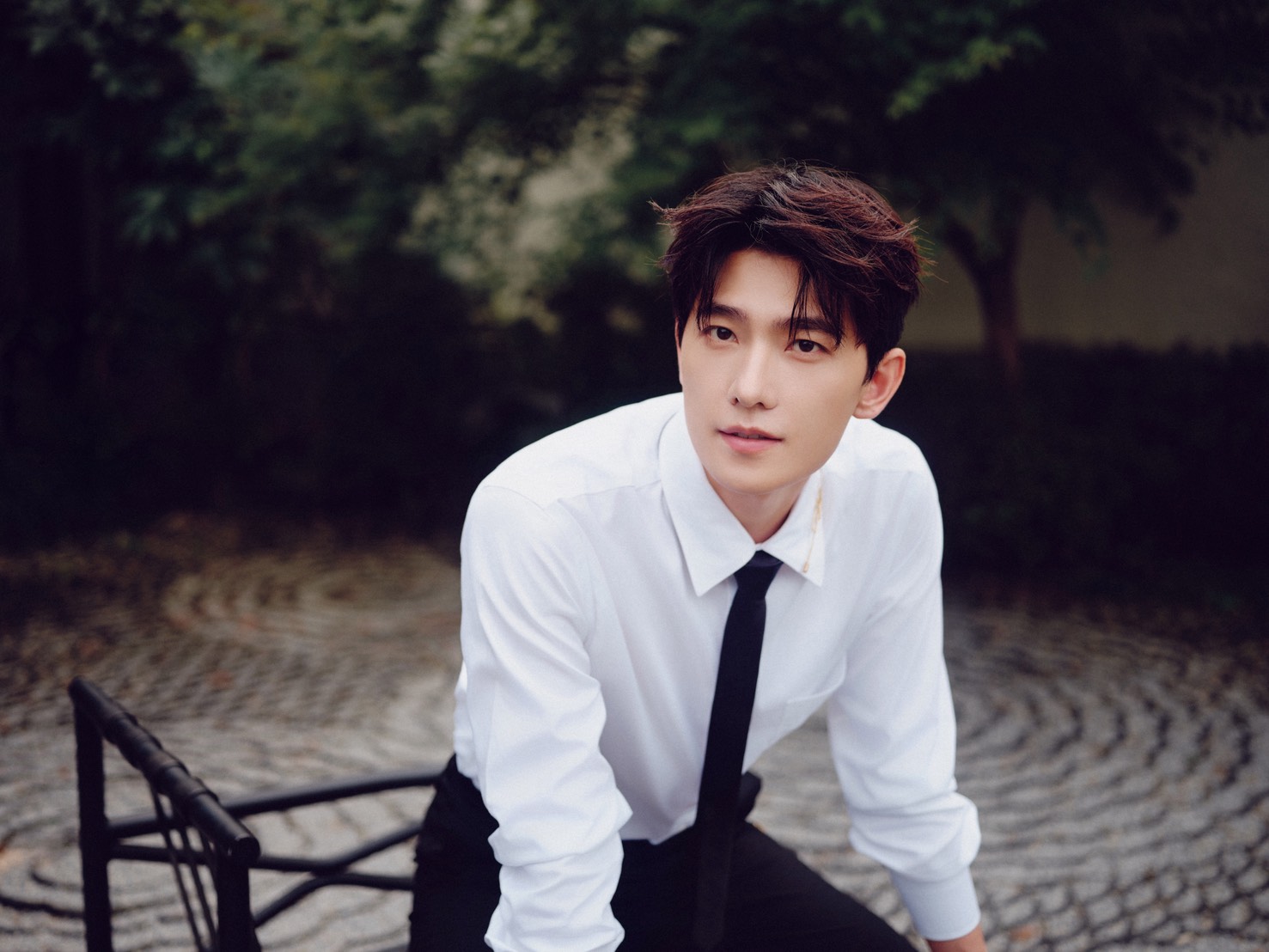 ฉายาพระเอกจีน ภาษาไทย