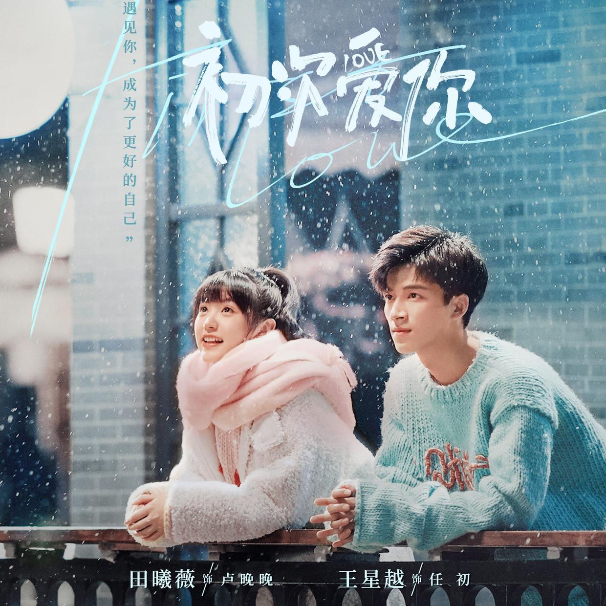 วุ่นนักโจทย์รักแรก First Love (2022)