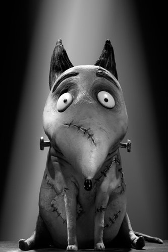 frankenweenie คืนชีพเพื่อนซี้สี่ขา - สปาร์คกี้