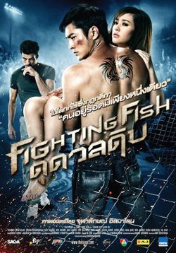 Fighting Fish ดุ ดวล ดิบ