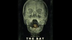 วิจารณ์หนัง The Bay