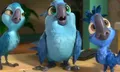 เกร็ดน่ารู้ คาแร็คเตอร์ตัวละครน่ารักๆ Rio 2