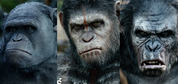 เกร็ดหนังดี เกร็ดน่ารู้คาแร็คเตอร์ตัวละคร Dawn of the Planet of the Apes