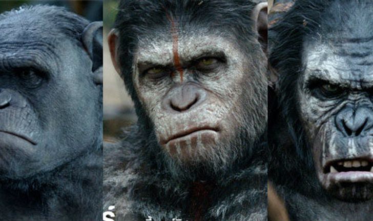 เกร็ดหนังดี เกร็ดน่ารู้คาแร็คเตอร์ตัวละคร Dawn of the Planet of the Apes