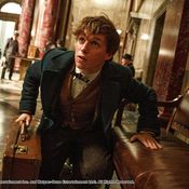 Fantastic Beasts 