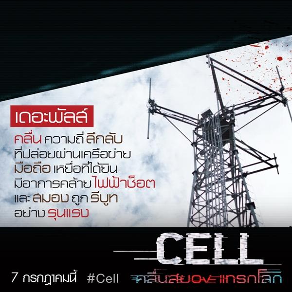 Cell  