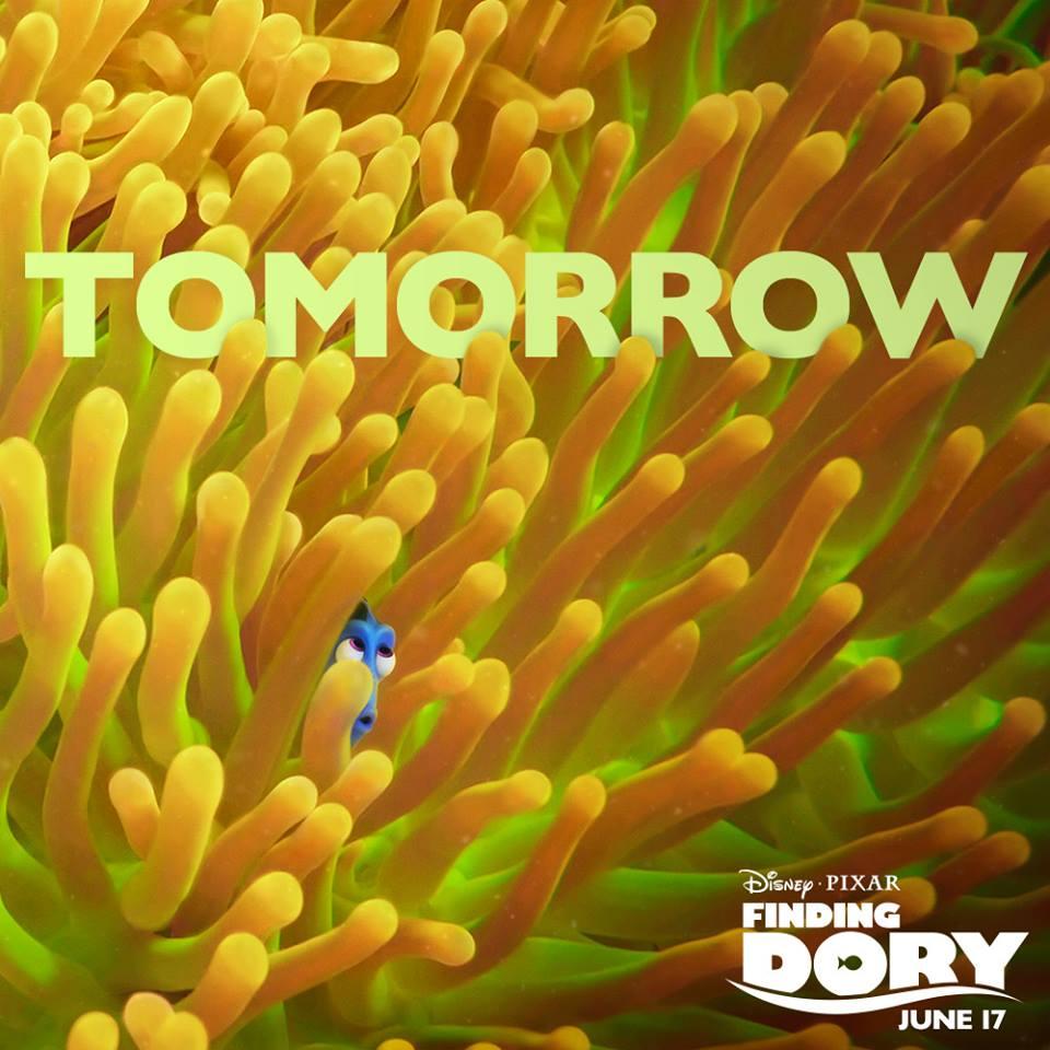 Finding Dory