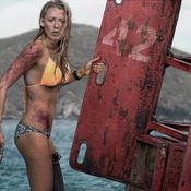 The Shallows