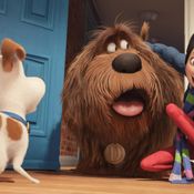 THE SECRET LIFE OF PETS