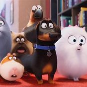 THE SECRET LIFE OF PETS