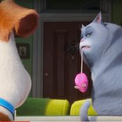 THE SECRET LIFE OF PETS