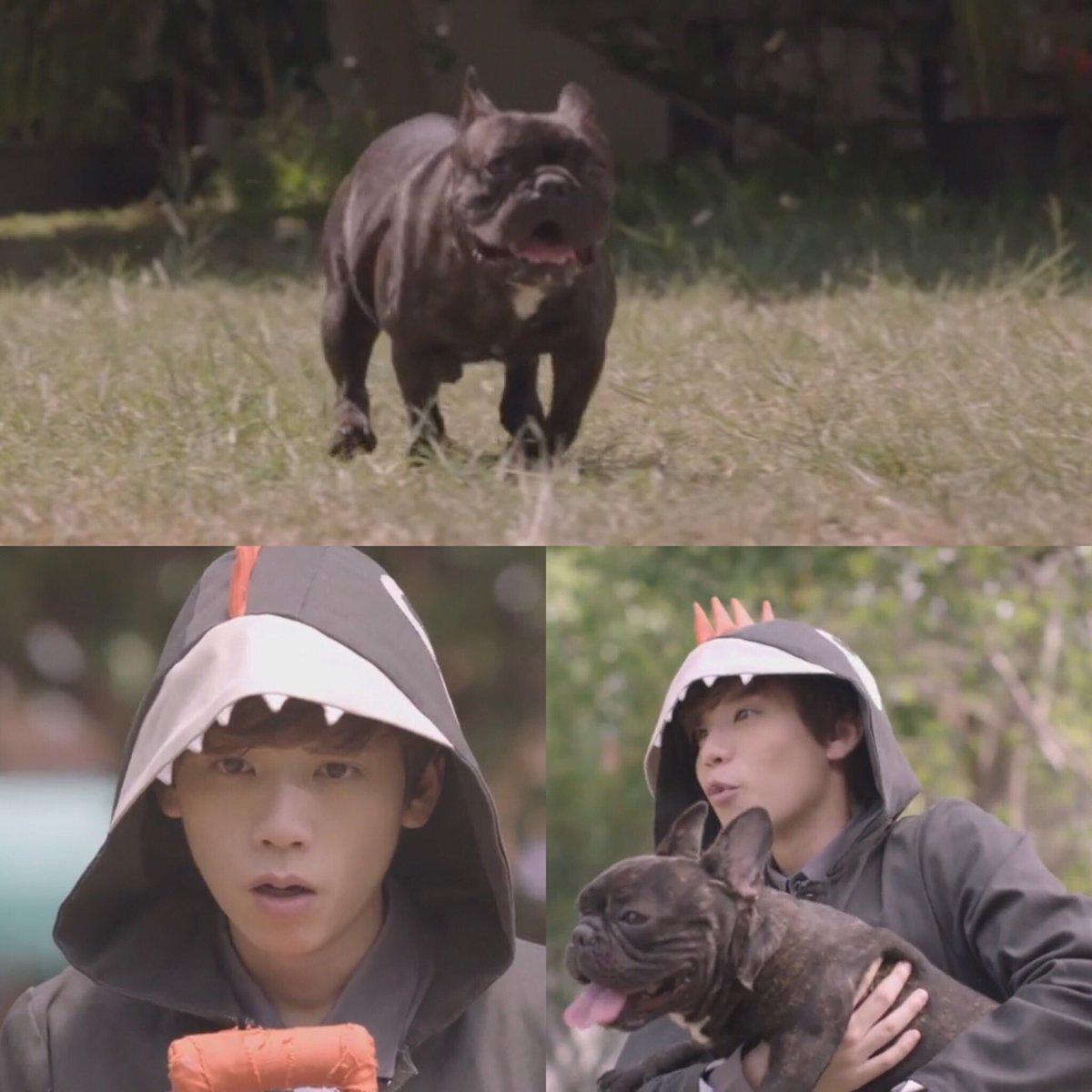 ทีเรกซ์