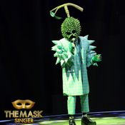 the mask singer