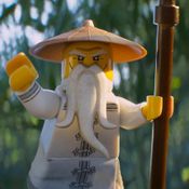 The LEGO NINJAGO