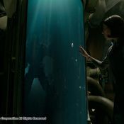 The Shape of Water 