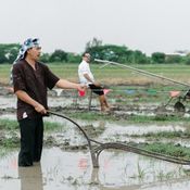 เขยผู้ใหญ่ สะไภ้กำนัน