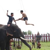 บุพเพสันนิวาส พระเจ้าเสือ ก็อต จิรายุ 