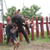 บุพเพสันนิวาส พระเจ้าเสือ ก็อต จิรายุ 