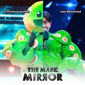 the mask mirror 